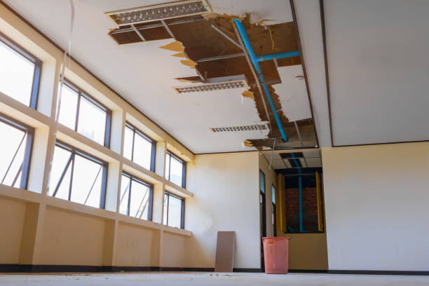 Best Mold removal after water damage  in Hilltop, MN