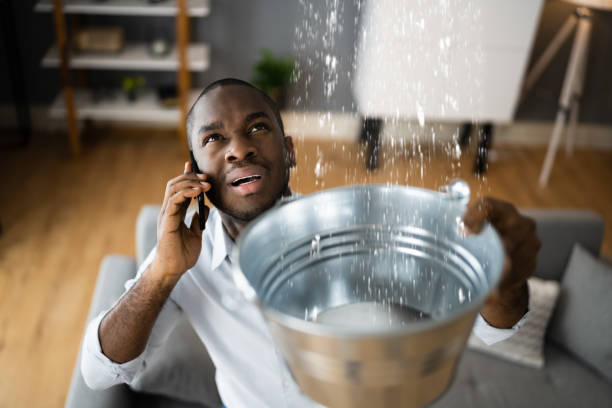 Best Flooded house restoration  in Hilltop, MN