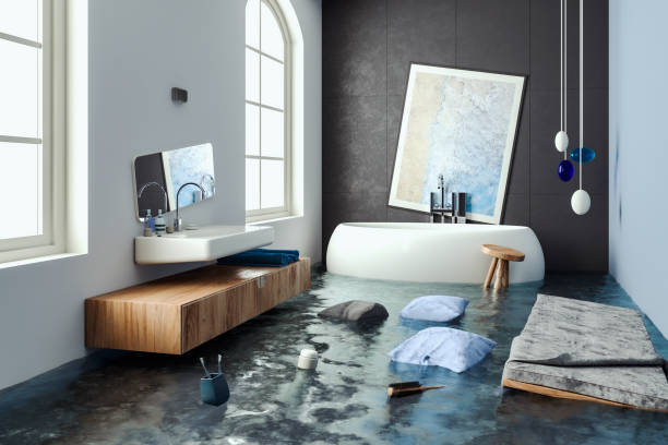 Best Carpet water damage restoration  in Hilltop, MN