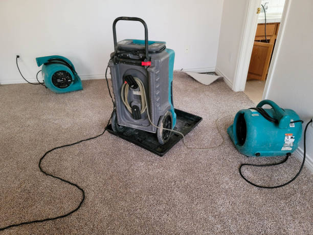Best 24-hour water damage restoration  in Hilltop, MN