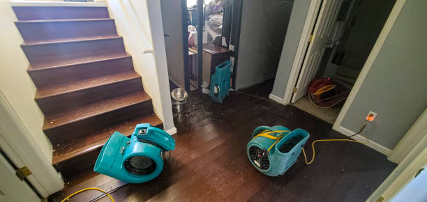Best Flood damage cleanup  in Hilltop, MN