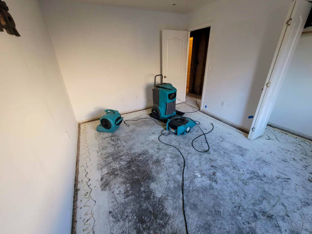 Best Commercial water damage restoration  in Hilltop, MN