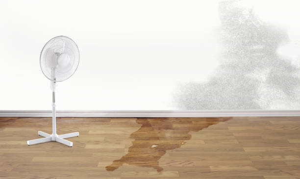 Best Water damage restoration near me  in Hilltop, MN