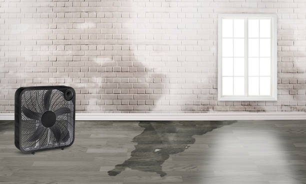 Best Residential water damage restoration  in Hilltop, MN